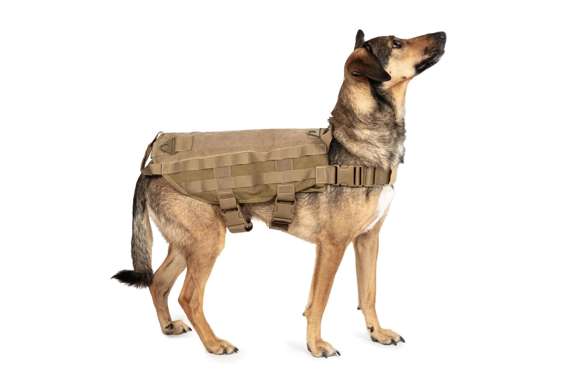 Primal Gear Tactical Dog Vest - Tan-3