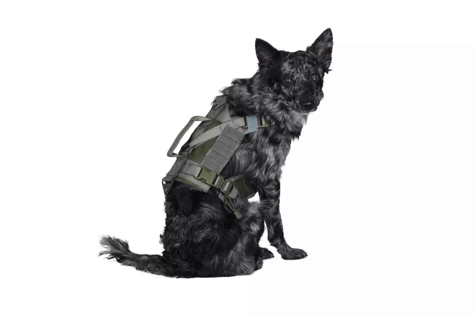 Tactical harness for dog - ranger green