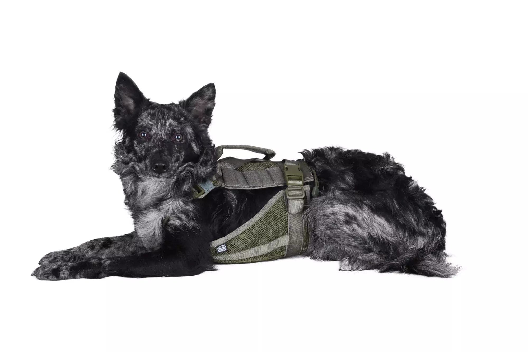 Tactical harness for dog - ranger green