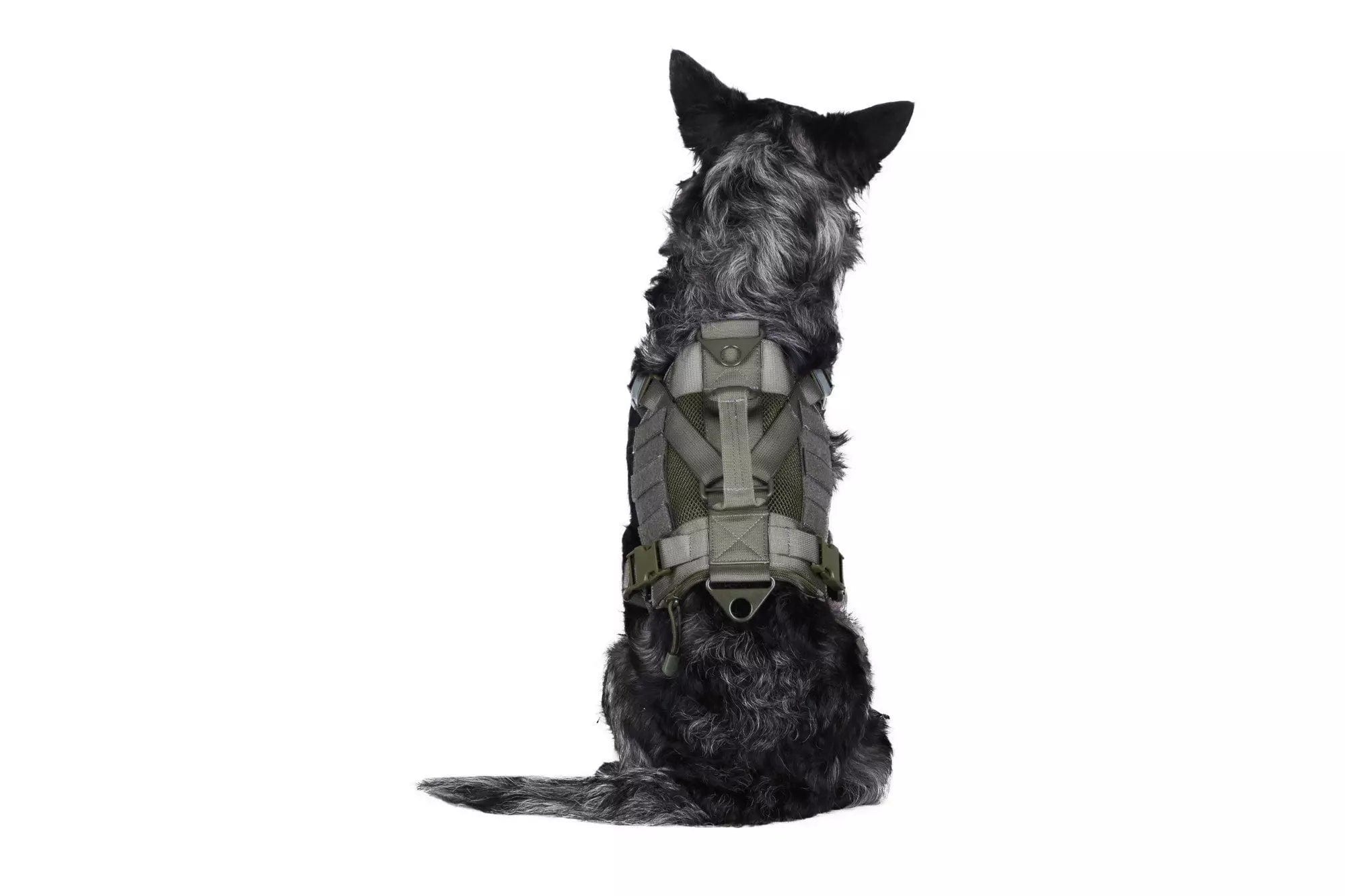 Tactical harness for dog - ranger green