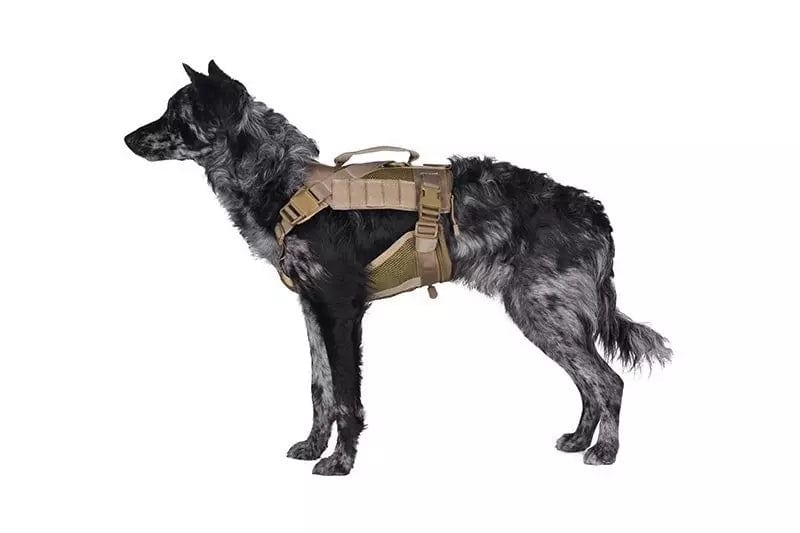 Tactical harness for dog - olive