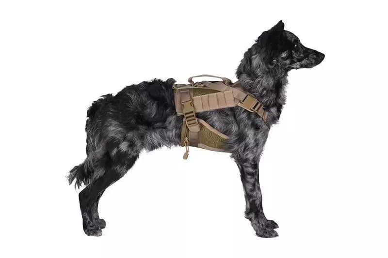 Tactical harness for dog - olive