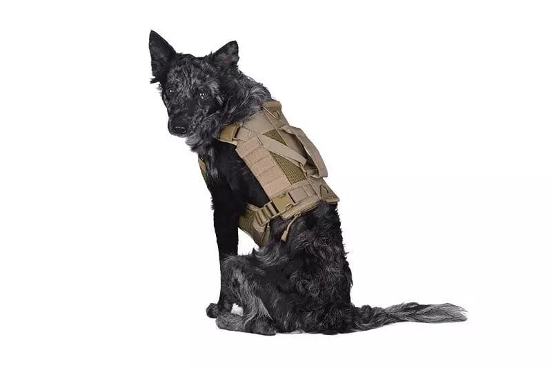 Tactical harness for dog - olive