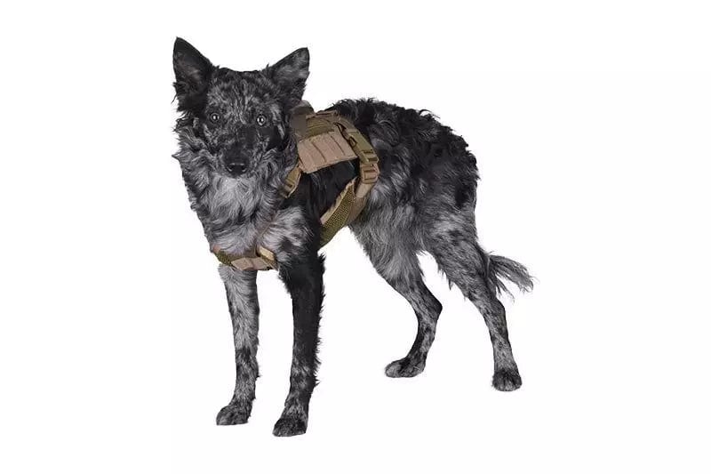 Tactical harness for dog - olive