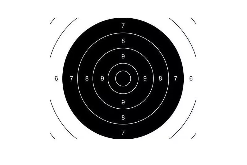 TS-2 PSP Shooting Target Middle - 50 Pcs