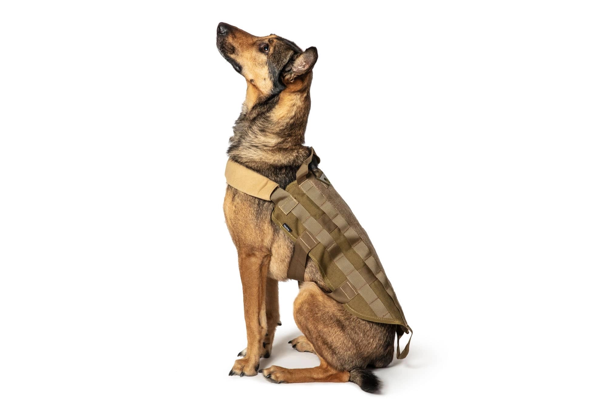 Primal Gear Tactical Dog Vest - Tan-1