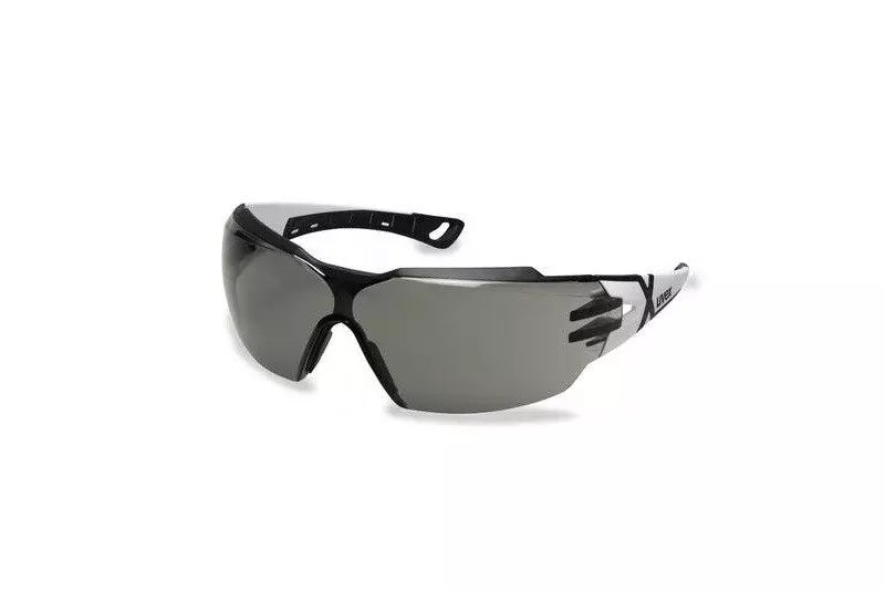 Pheos CX2 Protective Glasses - Tinted (9198.237)