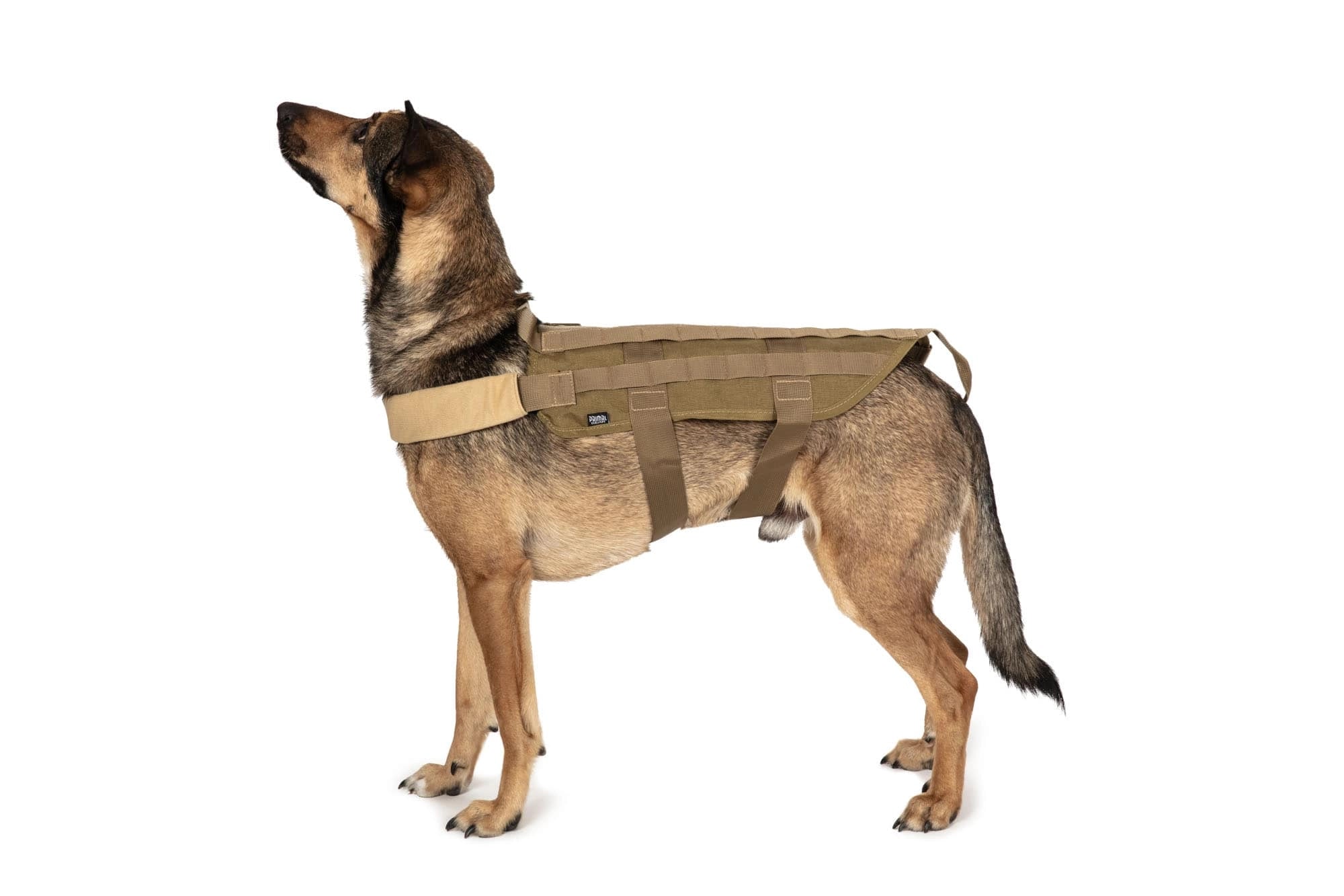Primal Gear Tactical Dog Vest - Tan-4