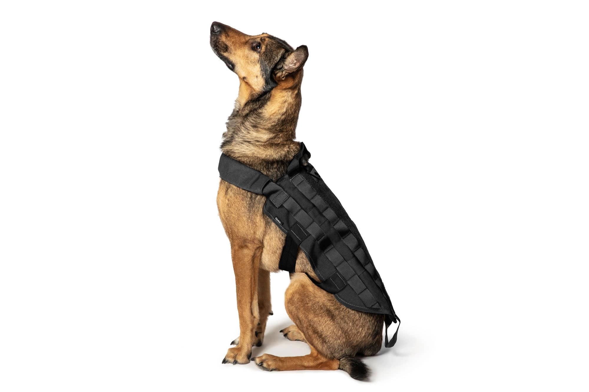 Tactical Dog Vest - Black