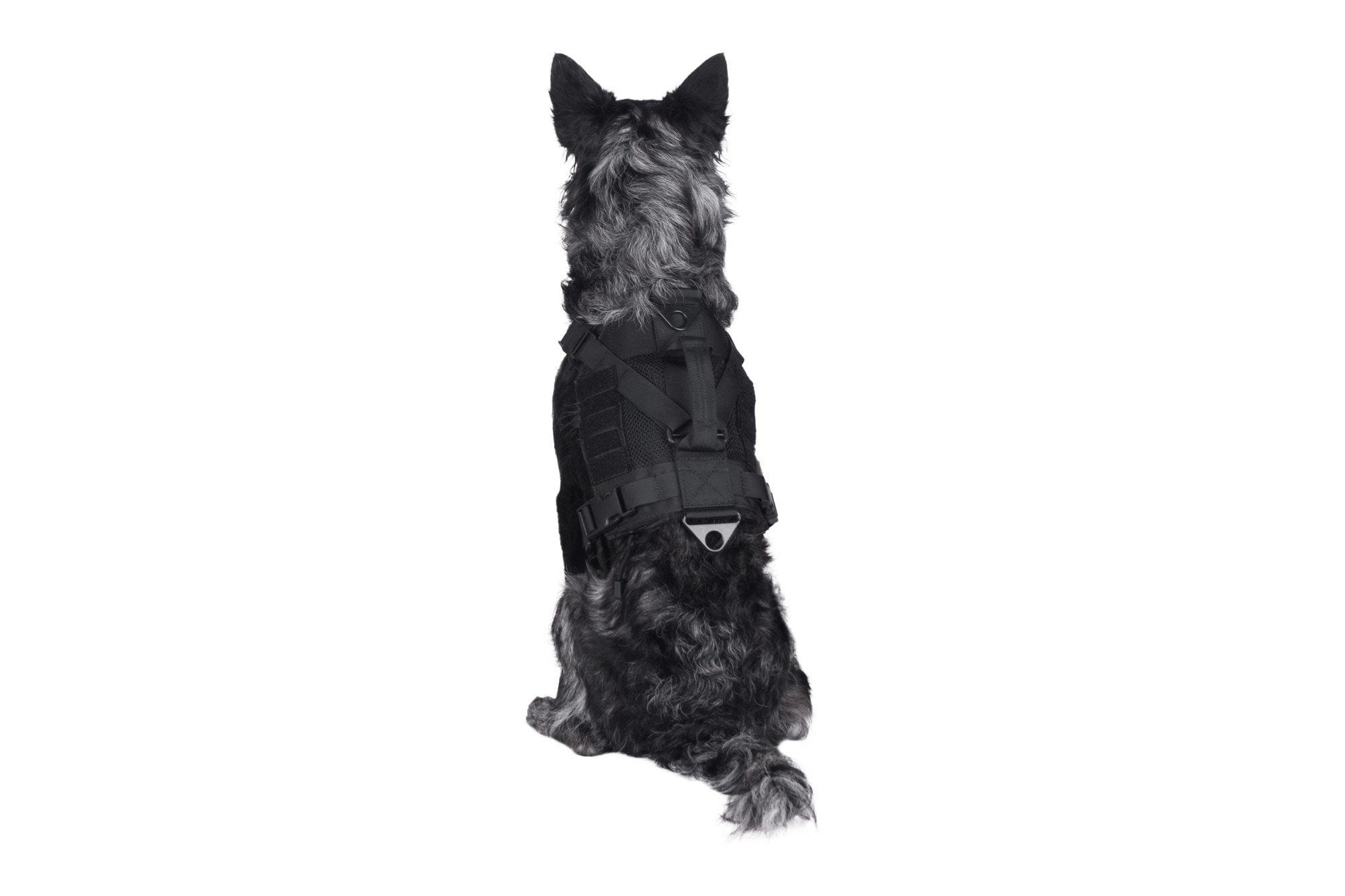 Tactical harness for dog - black