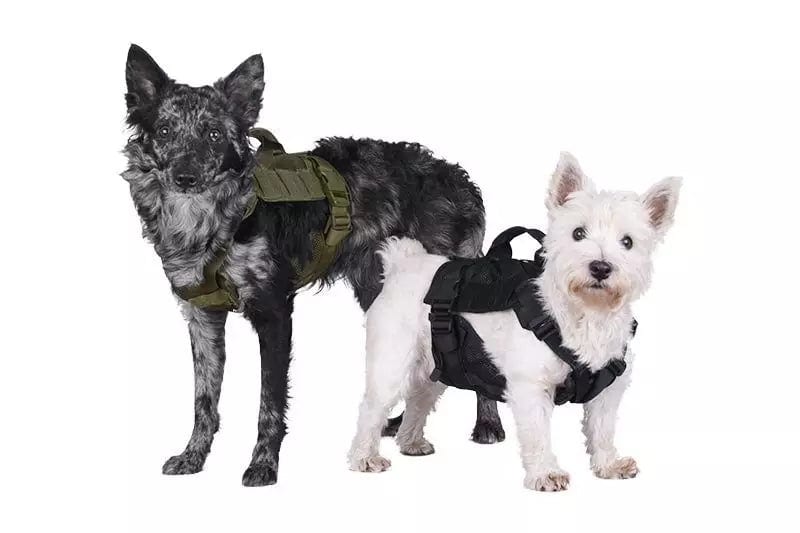 Tactical harness for dog - ranger green
